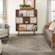Nourison Starry Nights STN07 Blush Multicolor Rug