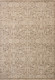 Loloi Clarisse CLS-06 Fog Bone Rug