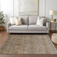 Dalyn Burano BU8 Brown Rug
