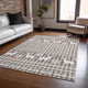 Dalyn Wonderland WN28 Brown Rug