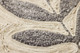 Loloi Frond & Fog FRONDF Grey Wall Art
