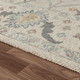 LR Home Pallor 82778 Cream Gray Rug