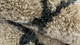 LR Home Rugs Ariel 99457 Tan Gray Rug