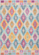 Nourison Passion PSN02 Multicolor Rug