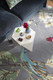 Wedgewood 037804 Hummingbird Grey Rug