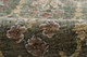 Momeni Wisteria WIS-1 Green Rug