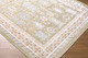 Livabliss Amir AMR-2301 Rug