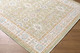 Livabliss Amir AMR-2306 Rug