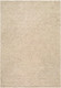 Livabliss The Neutral Edit RZNE-2302 Rug