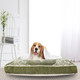 LR Home Poly 20110 Calla Green Ivory Pet Bed