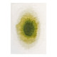 Louis De Poortere Meditation Drop 8335 Green Pepper Rug