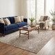 LR Home Viola 83133 Beige Multi Rug