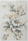 Dynamic Aspire 11362-189 Cream Beige Multi Rug