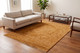 Dynamic Atmos 11980-600 Rust Rug