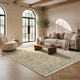 Nourison Ashbourne ASE02 Grey Rug
