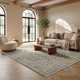 Nourison Ashbourne ASE03 Charcoal Rug