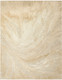 Nourison Brushlight BRL04 Beige Grey Rug