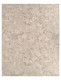 Jaipur Living Paro PVY02 Tan Beige Rug