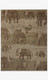 Loloi Roam RAM-02 Sage Earth Rug