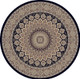 Dynamic Ancient Garden 57090 3484 Navy Area Rug