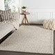 Jaipur Living Scandinavia Dula SCD05 Rug