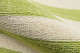 Baja BAJ-01 Green Rug by Momeni