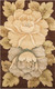 Tropics TS09 Brown Rug by Nourison