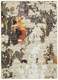 Oriental Weavers Evolution 7770J Rug