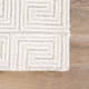 Jaipur Living Capital CAP03 Rug