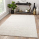 Jaipur Living Capital CAP03 Rug