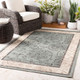 Livabliss Alfresco ALF-9594 Rug