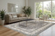 Dynamic Ancient Garden 57119 5666 Grey Cream Rug