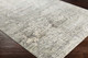 Livabliss Presidential PDT-2303 Rug