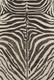 Loloi Masai MAS-01 Java Ivory Rug