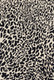 Loloi Masai MAS-02 Black Ivory Rug