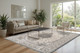 Dynamic Ancient Garden 57119 6656 Cream Grey Area Rug