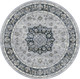 Dynamic Ancient Garden 57559 9686 Silver Blue Area Rug