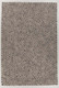 Chandra Patagonia PAT-46802 Rug