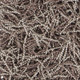 Chandra Tyra TYR-43600 Rug