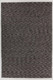 Chandra Yvonne YVO-48500 Rug