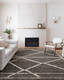 Loloi Iman IMA-02 Beige Charcoal Rug