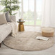 Jaipur Living Genesis GES49 Impress Rug