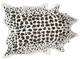 Loloi Grand Canyon GC-07 Ivory Brown Rug