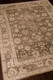 Nourison Aldora ALD06 Mocha Rug