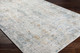 Livabliss Carmel CRL-2317 Rug