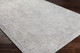Livabliss Carmel CRL-2318 Rug