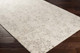 Surya Evolution EVL-2301 Rug