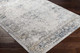 Livabliss Norland NLD-2317 Rug
