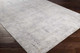 Livabliss Norland NLD-2303 Rug