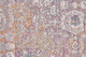 Feizy Cecily 3587F Purple Gold Rug